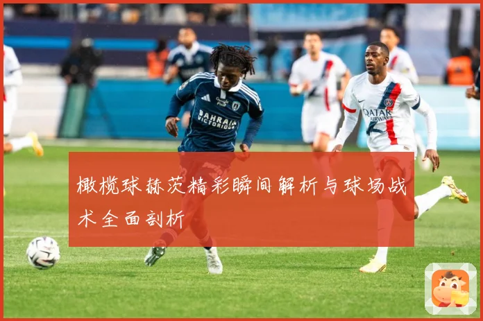 橄榄球赫茨精彩瞬间解析与球场战术全面剖析