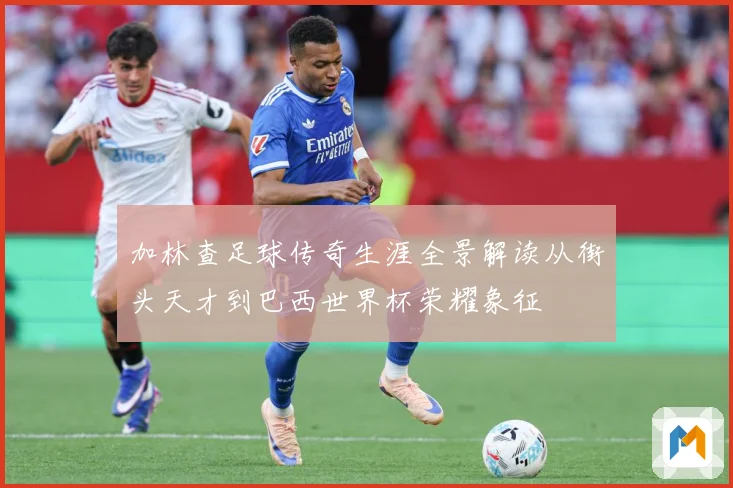 加林查足球传奇生涯全景解读从街头天才到巴西世界杯荣耀象征
